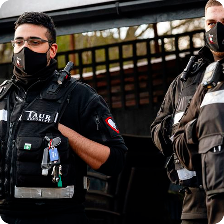 Homeland protect Security guard standing on duty